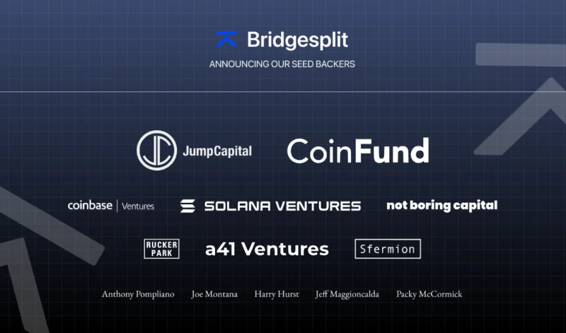 Bridgesplit 프로젝트는 무엇입니까?  프로젝트에 대한 전체 세부 정보 세트