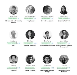 Wat is lawine (AVAX)? Over AVAX Cryptocurrency