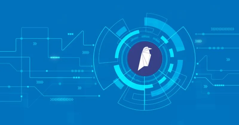 Ravencoin의 특성