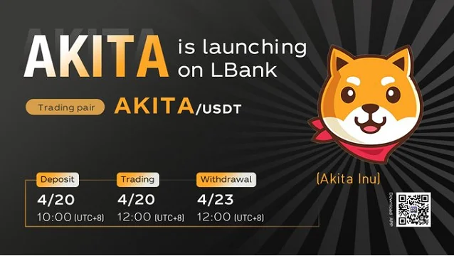 Was ist AKITA?  Detaillierte Übersicht über Akita Inu und AKITA-Token