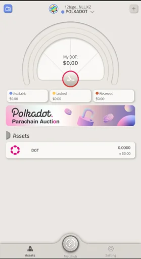 Apa itu Dompet Polkawallet?  Instruksi terperinci untuk menggunakan dompet Polkavallet