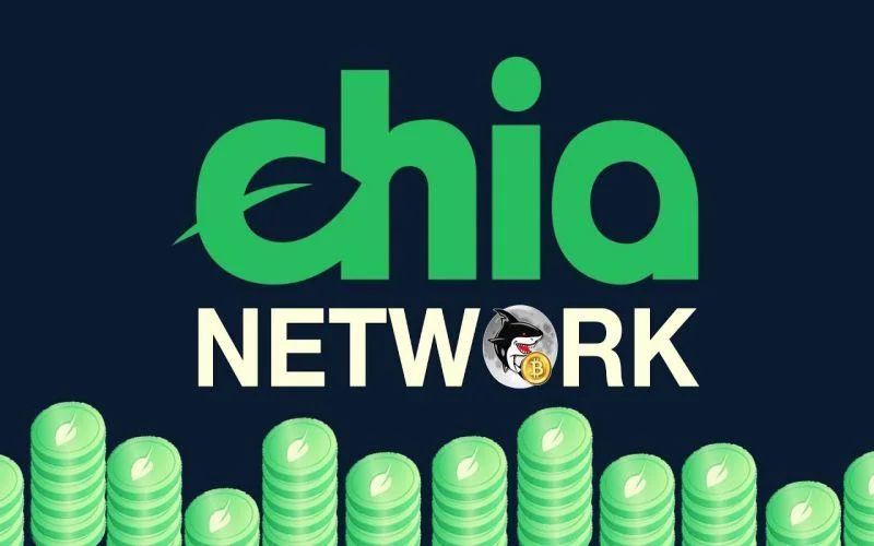 Imagen explicativa sobre Chia Network