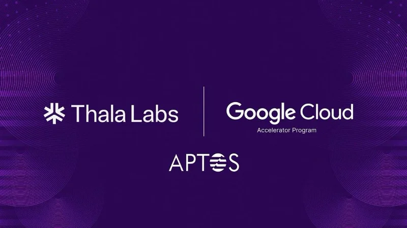 Wat is Thala Labs?  Dingen die u moet weten over het Thala Labs.-project