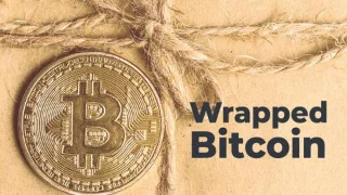래핑된 비트코인(WBTC)이란 무엇입니까? WBTC에 대한 세부 정보