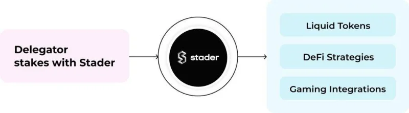 Wat is Stader?  Alles over Stader- en SD-tokens