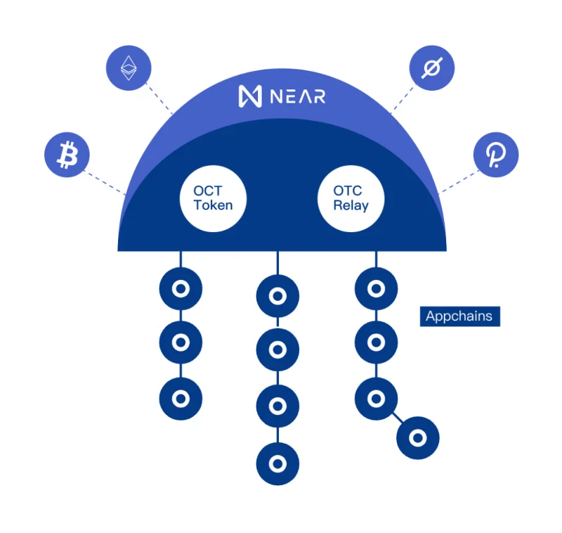 Wat is Octopus-netwerk? Complete set Octopus Network en OCT .token