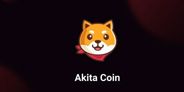 Was ist AKITA?  Detaillierte Übersicht über Akita Inu und AKITA-Token
