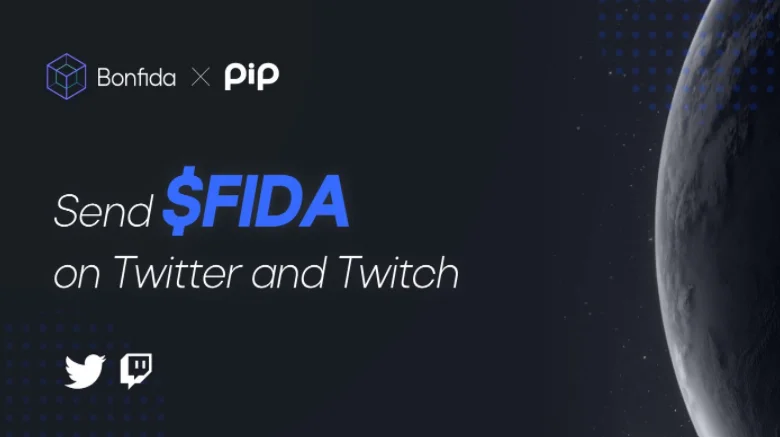 ما هو مشروع PIP؟  مقدمة مفصلة لرمز PIP