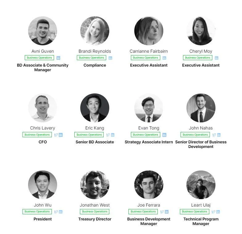 ¿Qué es Avalancha (AVAX)?  Acerca de AVAX Criptomoneda