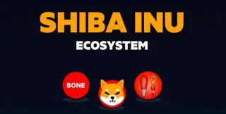 Apa itu Shiba Inu? Pelajari tentang SHIB .cryptocurrency
