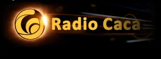 ¿Qué es Radio Caca (RACA)? Información sobre el proyecto Metaverse Radio Raca y el token RACA