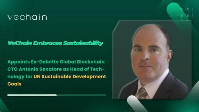 บทวิเคราะห์เชิงลึก: ศักยภาพของ VeChain ควรลงทุนหรือไม่?