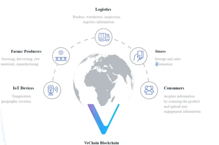 บทวิเคราะห์เชิงลึก: ศักยภาพของ VeChain ควรลงทุนหรือไม่?