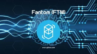 ¿Qué es Fantom (FTM)? ¿Debo invertir en tokens FTM?