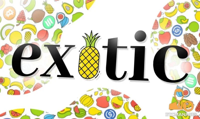 이국적인 시장이란 무엇입니까?  이국적인 시장 및 EXO 토큰에 대해 알아야 할 사항