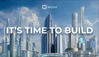 Wat is het Elrond-project? Lees meer over het Elrond-project en het EGLD-token