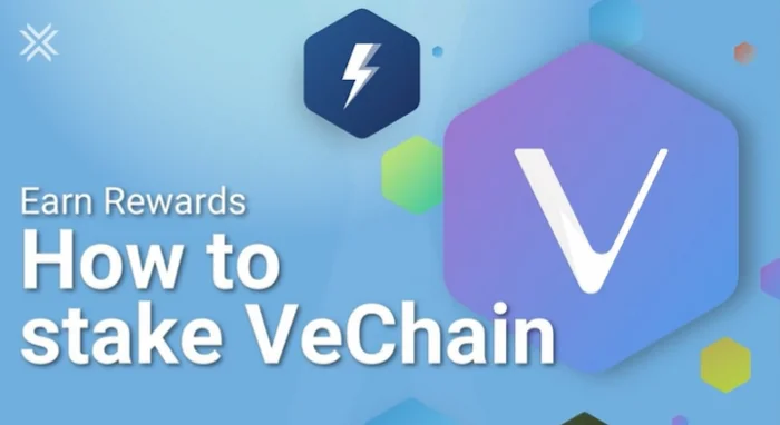 บทวิเคราะห์เชิงลึก: ศักยภาพของ VeChain ควรลงทุนหรือไม่?